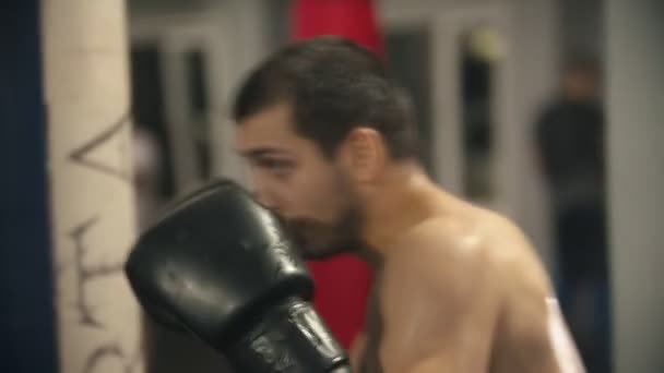 Box training - een zweterige man training - schaduwvechten — Stockvideo