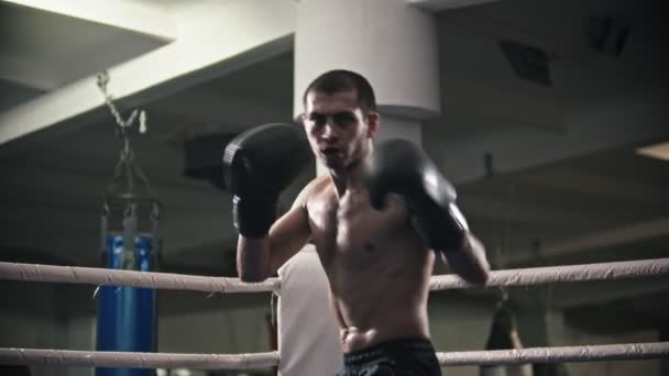 Antrenament de box - un antrenor de om - lupte de umbră pe inelul de box — Videoclip de stoc