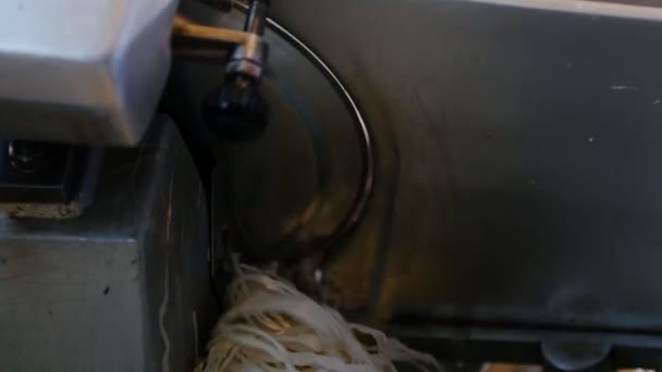 Cozinha restaurante - um homem esfrega queijo através de um ralador industrial — Vídeo de Stock