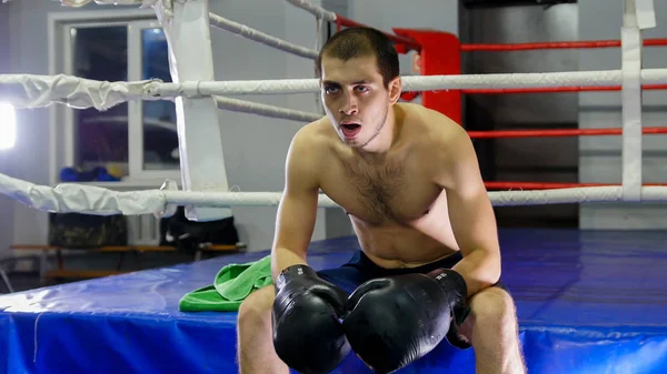 Box - boxer si opřel lokty o kolena a posadil se — Stock fotografie