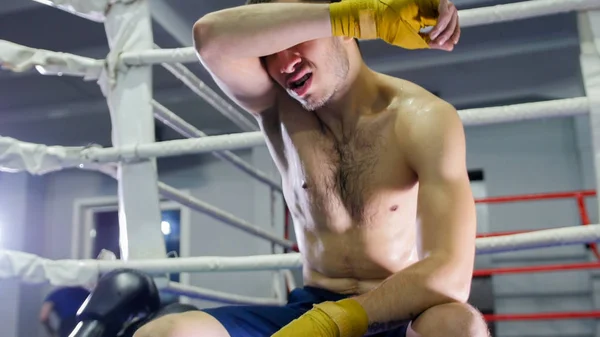 CAIXA - boxeador está limpando suor de seu rosto com a mão — Fotografia de Stock