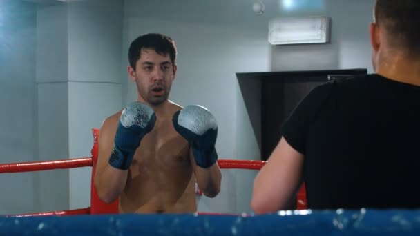 BOX - men are starting their fight on the ring in color gloves — Stock Video