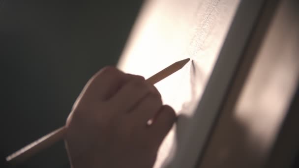 Una mano di giovane donna che disegna un albero sulla tela - luce solare brillante — Video Stock