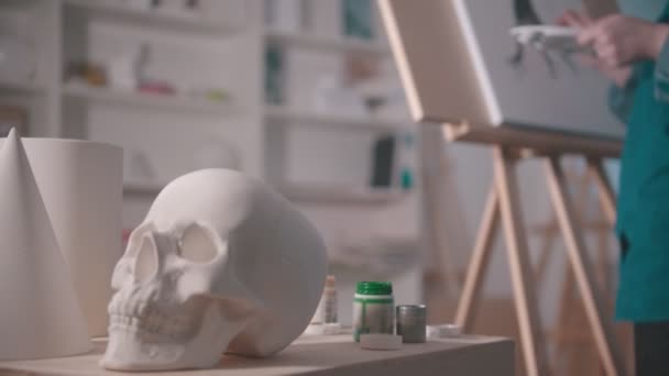 A young woman artist drawing a tree in the art studio - a skull and other figures on the table — 비디오