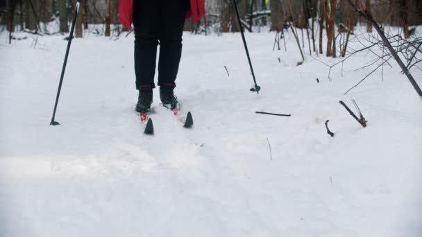 A woman trying to ski in the woods - stop moving and unsetting her boots from the ski — 비디오