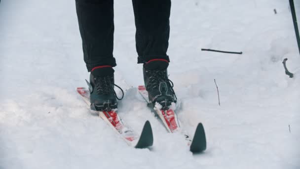 Skiën in de besneeuwde bossen - laarzen aantrekken op de ski — Stockvideo