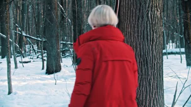 A woman in red down jacket takes ski near the tree and going forward — ストック動画