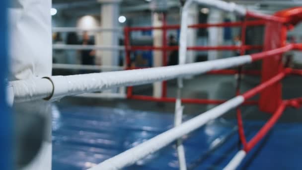Ein Boxring drinnen - Ringwände - im Hintergrund trainierende Menschen — Stockvideo