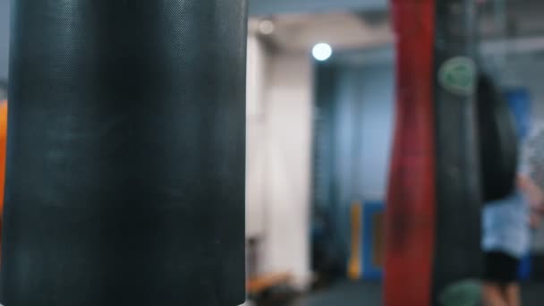Edzőterem - bokszzsák lóg a mennyezet alatt - férfi képzés a háttérben — Stock videók