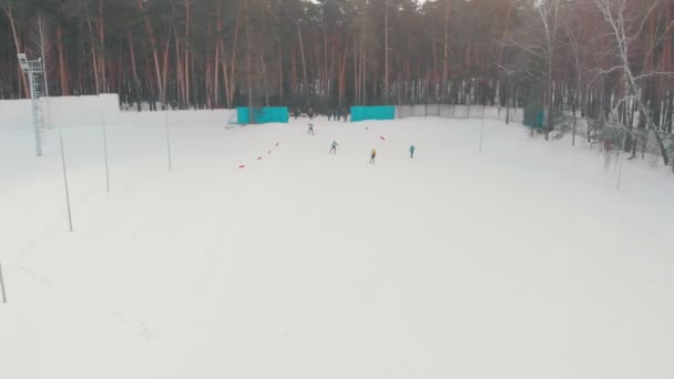 Compétition de ski - hommes skiant en descente vers la forêt — Video