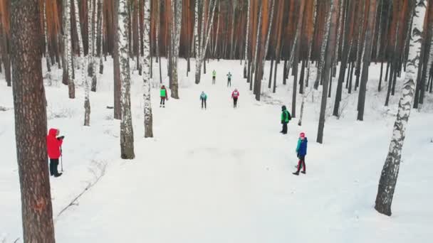 Rusko, Kazan 08-02-2020: Lyžařská soutěž - muži lyžují v lese — Stock video