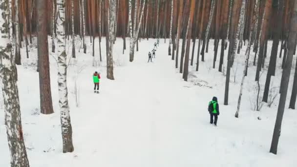 俄罗斯，喀山08-02-2020：滑雪比赛-人们在树林里滑雪 — 图库视频影像