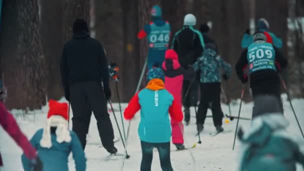 RUSIA, KAZAN 08-02-2020: Concurso de esquí - personas adultas esquiando en el bosque — Vídeo de stock