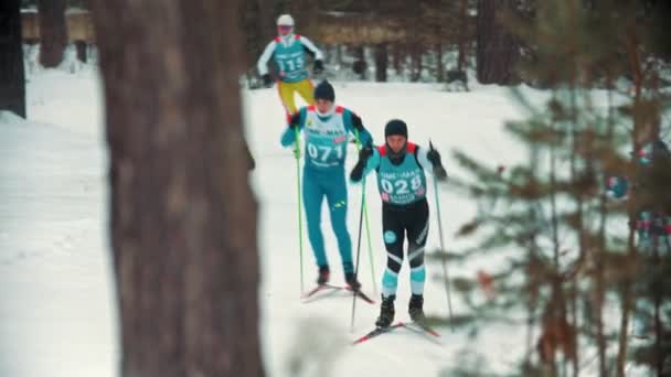 Rusland, Kazan 08-02-2020: Skiwedstrijd - volwassen mannen skiën in het bos — Stockvideo