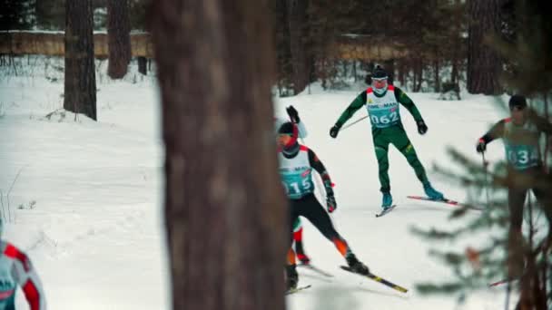 RÚSSIA, KAZAN 08-02-2020: Competição de esqui - homens adultos esquiando na floresta com um esforço — Vídeo de Stock