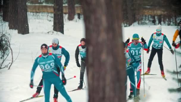 러시아, 카잔 08-02-2020: 스키 대회 - 노력으로 숲 속에서 스키를 타는 성인 운동 선수 — 비디오