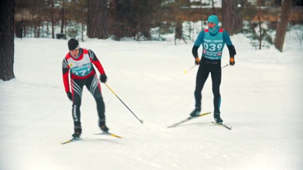 Rosja, Kazań 08-02-2020: Zimowe zawody narciarskie na świeżym powietrzu - dorośli sportowcy na nartach w lesie — Wideo stockowe