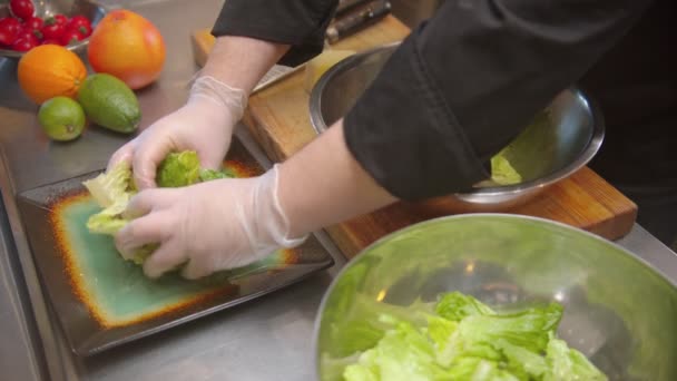 Chef haciendo ensalada y sirviéndola en el plato — Vídeo de stock