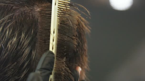 Парикмахер расчесывает клиентов мокрыми волосами на висках для стрижки — стоковое видео