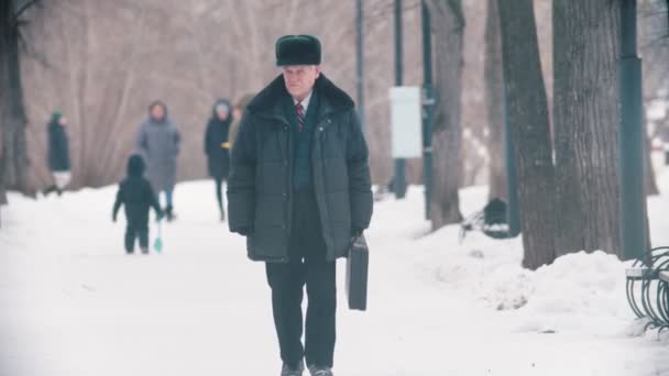 Одинокий пожилой человек с сумкой, гуляющий в снежном парке — стоковое видео
