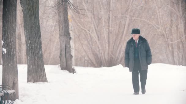 Un veterano anciano paseando por el parque nevado mientras cae la nieve. — Vídeos de Stock