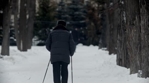 Старый дед - старый дед занимается скандинавской ходьбой в парке — стоковое видео