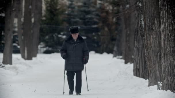 Elderly grandfather - old grandfather is engaging in Nordic walking — ストック動画