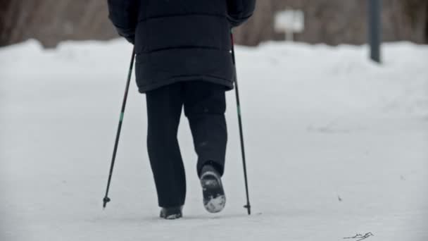 Elderly grandfather - old grandfather is engaging in Nordic walking in winter the park — Stok video