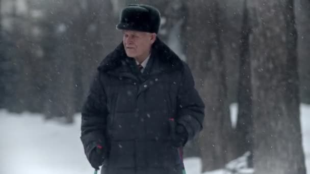 Grand-père âgé - Grand-père réfléchi se lance dans la marche nordique dans un parc d'hiver — Video