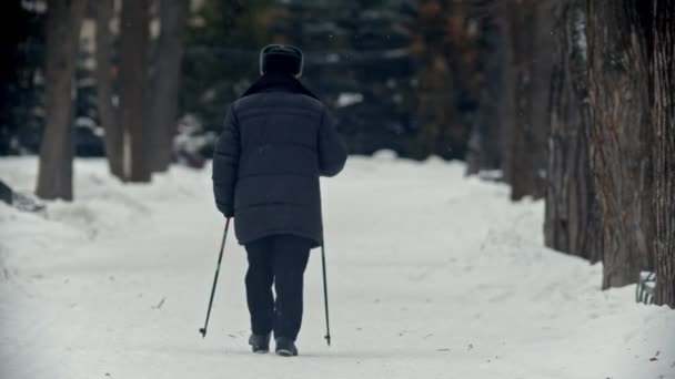 Abuelo mayor - abuelo se dedica a caminar nórdico en el parque — Vídeos de Stock