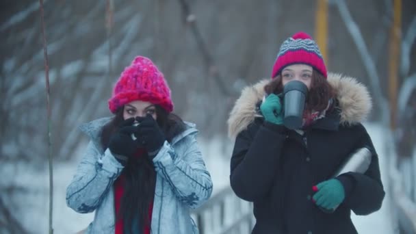 Две молодые женщины ходят по снежному мосту в лесу и пьют горячие напитки из термоса — стоковое видео