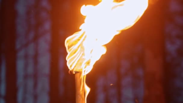 Handmade torch - piece of cloth burning on the stick — Stock Video