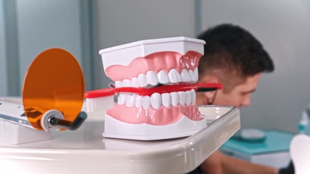 En liten pojke som har en behandling inom tandvården - modell av käken på förgrunden — Stockvideo