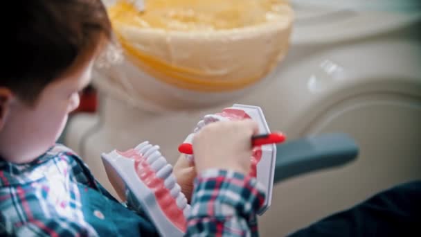 Un niño pequeño que tiene un tratamiento en la odontología moderna - el niño cepillándose los dientes en el modelo de mandíbula de plástico — Vídeo de stock