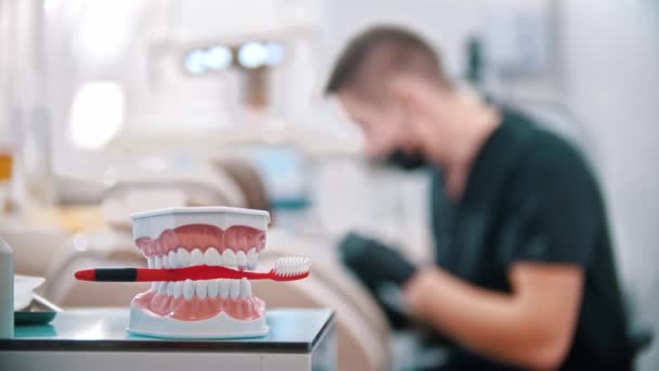 Modelo plástico de mandíbulas humanas con un cepillo de dientes - dentista hombre haciendo su trabajo en el fondo — Vídeo de stock