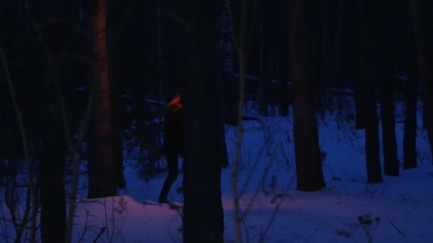 Young scared woman with torch walking away from something in the night forest — Αρχείο Βίντεο