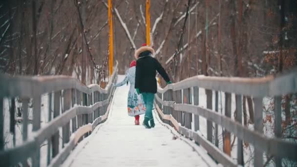 Duas jovens caminhando na ponte nevada — Vídeo de Stock