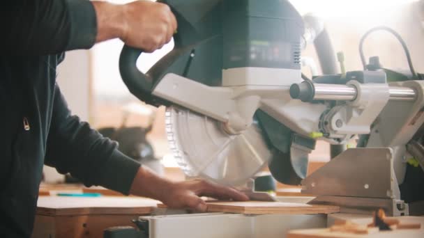 Ácsmunka - a rétegelt lemez körfűrésszel történő vágása — Stock videók