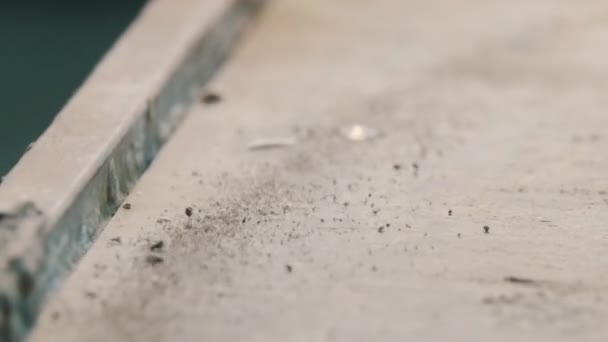 Betonnen werkplaats - stukken beton trillen door trillingen op het oppervlak — Stockvideo