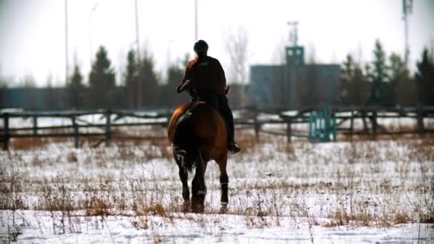 Ridning en häst - kvinna ryttare rida en häst på en snöig fält — Stockvideo