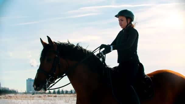 Equitación - mujer joven y hermosa ecuestre está montando su caballo — Vídeos de Stock