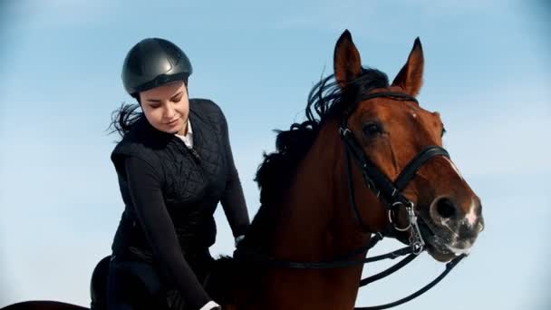 Reiten - eine Reiterin sitzt auf einem braunen Pferd mit schwarzer Mähne und streichelt es — Stockvideo