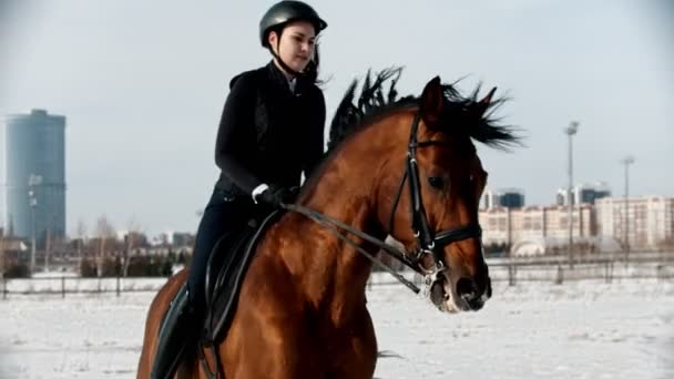 Equitação - mulher cavaleiro galopando em um cavalo em um círculo — Vídeo de Stock