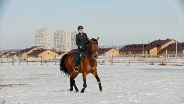 Jazda konna - kobieta w czarnych ubraniach galopująca na koniu na polu śnieżnym — Wideo stockowe