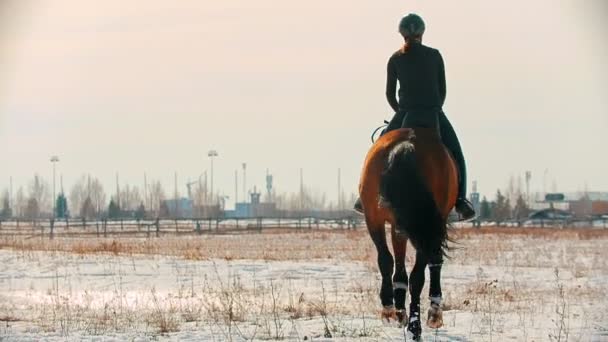 Jazda konna - jeździec w czarnych ubraniach galopujący na koniu na polu śnieżnym — Wideo stockowe