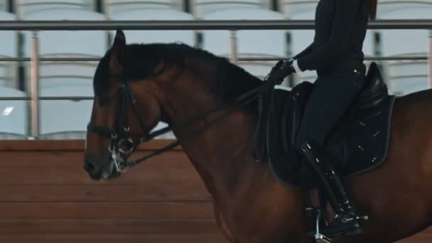 田庄- -骑着马的女骑手沿着田庄骑马 — 图库视频影像