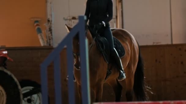 Hippodrome - une cavalière chevauchant une baie monte à cheval le long d'un hippodrome — Video