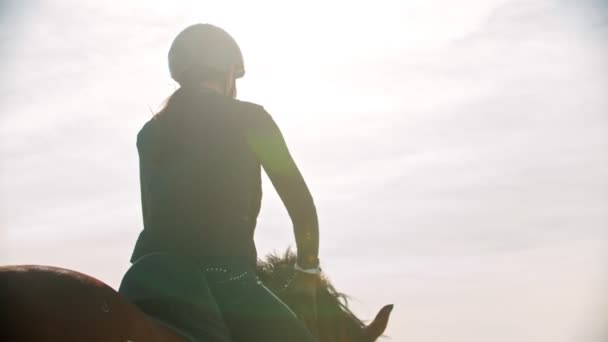 Reiten - ein Reiter reitet auf einem verschneiten Feld — Stockvideo