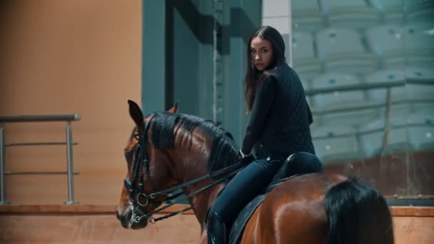 Hippodrome - een ruiter zit op een paard en houdt haar teugels vast — Stockvideo