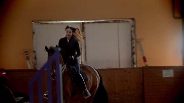 Hippodrome - un cavalier monte rapidement à cheval à l'intérieur d'un hippodrome — Video